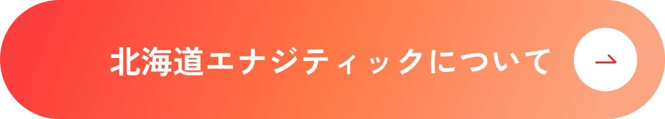 北海道エナジティックについて