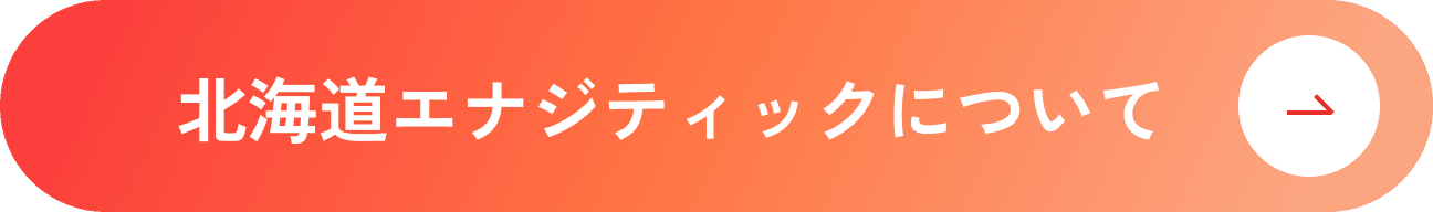 北海道エナジティックについて