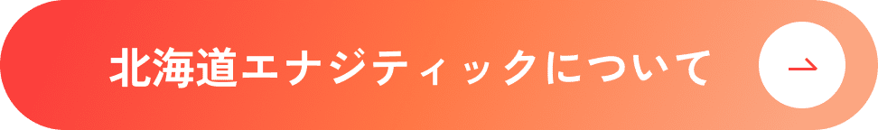 北海道エナジティックについて